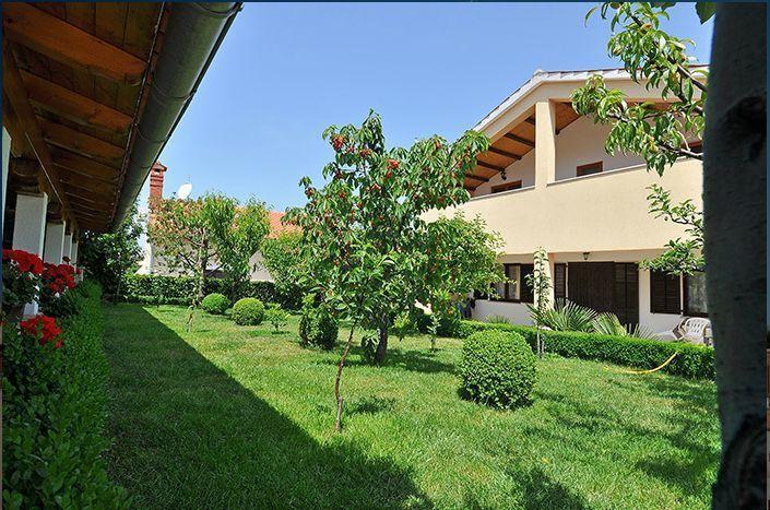 Apartment Pokrajac Rovinjsko Selo Room photo